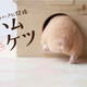 Illustration for article titled A Facebook Page Dedicated Entirely to Hamster Butts
